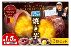 【先行予約】日本一！さつまいもオブザイヤー2部門受賞のサツマイモ農家が作る「紅はるか」「ふくむらさき」「栗かぐや」各500g程度の冷凍焼き芋計約1.5kg（6～9本程度）（2026年2月中旬～発送）　TF00051