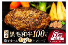 こだわり塩付／塩で食べるやわらかハンバーグ（デミグラスソース付）京たんくろ和牛入りの牛肉100％　NH00040