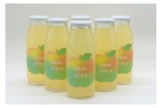 【訳あり】京丹後の梨ジュース 小瓶6本入り　SF00030