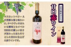 【天橋立ワイン】日本ワインコンクール受賞のワイナリーからお届け／京丹後産ぶどうを醸造した甘口の赤ワイン 720ml　天橋立ワイナリー 飲料 アルコール ワイン 赤ワイン 葡萄 ぶどう ブドウ セット 贈り物 贈答 贈答用 ドイツ式 イタリアン　AW00008
