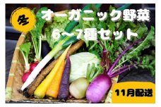 【先行予約：11月配送】＜てんとうむしばたけ＞冬のオーガニック野菜セット　有機野菜6～7種前後　BR00057_11
