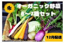【先行予約：12月配送】＜てんとうむしばたけ＞冬のオーガニック野菜セット　有機野菜6～7種前後　BR00057_12