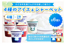 ヒラヤアイス6個セット　HG00001
