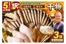 【最短2～5営業日以内に発送】京丹後の地元魚屋が作ったお任せ干物セット（冷凍）　TB00024SH