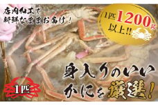 冬の旬松葉かに（山陰沖）京丹後の地元魚屋　特選茹で松葉かに　１２００ｇ以上１匹　TB00034