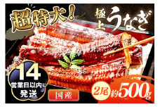 超特大！極上！国産うなぎ蒲焼 2尾 合計500g前後　YK00401