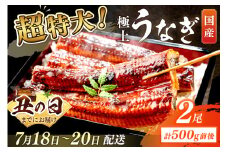 【7月18～20日配送】超特大！極上！国産うなぎ蒲焼 2尾 合計500g前後　YK00401_01