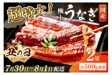 【7月30日～8月1日配送】超特大！極上！国産うなぎ蒲焼 2尾 合計500g前後　YK00401_02