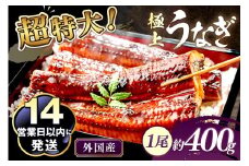 超特大！ふっくら肉厚！うなぎ蒲焼 1尾 400g前後　YK00402C