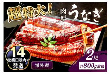 超特大！ふっくら肉厚！うなぎ蒲焼 2尾 合計800g前後　YK00403
