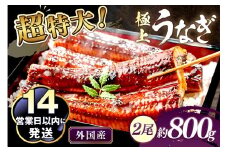 超特大！ふっくら肉厚！うなぎ蒲焼 2尾 合計800g前後　YK00403