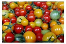 まつみやファーム獲れたて野菜・フルーツ5種定期便　MY00010