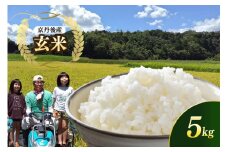 京都 丹後産コシヒカリ（玄米5kg）農家直送 こしひかり お米 おこめ こめ ご飯 ごはん MD00001