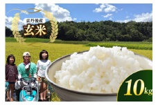 京都 丹後産コシヒカリ（玄米10kg）農家直送 こしひかり お米 おこめ こめ ご飯 ごはん　MD00002