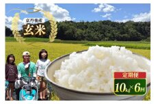 京都 丹後産コシヒカリ（玄米10kg）6カ月定期（10月から3月まで毎月上旬1回）農家直送 こしひかり お米 おこめ こめ ご飯 ごはん　MD00004