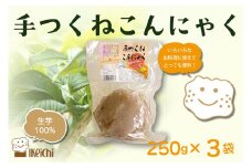 手つくねこんにゃく 250g×3袋　AM00687