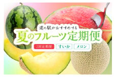 道の駅がおすすめする夏のフルーツ定期便～すいか・メロン～　KM00004