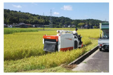 京都・峰山長岡産 丹後こしひかり 玄米5kg　MH00001