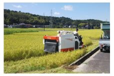 京都・峰山長岡産 丹後こしひかり 玄米10kg　MH00002