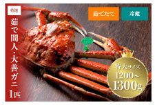 【蟹の匠 魚政】京丹後市産 未冷凍 茹で間人ガニ大善ガニ 特撰 特大サイズ（1200～1300g） 1匹　【2026年1月～発送：平日】　UO01396