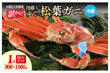 【訳あり！指落ち松葉がに】山陰沖ゆで松葉がに 900ｇ～1ｋｇ 特大サイズ（12月発送）／北畿水産　HK00249