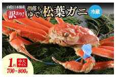 【訳あり！指落ち松葉がに】山陰沖ゆで松葉がに 700ｇ～800ｇ 中大サイズ（1月～3月発送）／北畿水産　HK00252