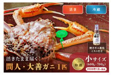 【蟹の匠 魚政】京丹後市産 活きたまま届く！　間人ガニ大善ガニ 特撰 小サイズ（600～700g) 1匹　香味ミスト付き　(2026年1月～発送)　UO01404