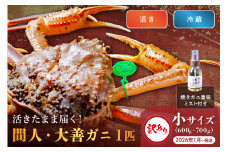 訳あり　【蟹の匠 魚政】京丹後市産 活きたまま届く！　間人ガニ大善ガニ 小サイズ（600～700g) 1匹　香味ミスト付き　(2026年1月～発送)　UO01408