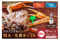 訳あり　【蟹の匠 魚政】京丹後市産 活きたまま届く！　間人ガニ大善ガニ　中サイズ (800~900g) 1匹　香味ミスト付き　(2026年1月～発送)　UO01409