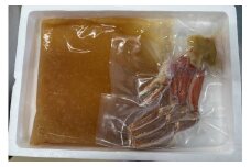 本ズワイガニ炊き込みご飯の素　NJ00004