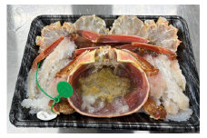 蟹しゃぶセット（間人蟹約800g×1杯分／蟹味噌付き・カニだし付き）　NJ00013
