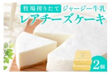 牧場のチーズケーキ（生）２個セット　TJ00012