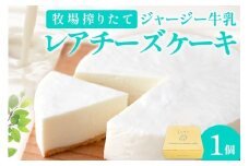 牧場のチーズケーキ（生）1個　TJ00013