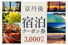 【京丹後市観光公社】京丹後宿泊クーポン　3,000円券×1枚　GK00023