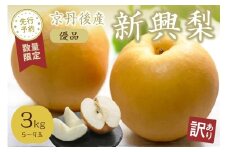 【先行予約／数量限定】【訳あり】新興梨 優品 3kg（5～9玉入り）（2025年10月上旬～発送）　SF00034