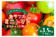 【先行予約】訳あり 宝石のような輝き！カラフルミニトマト 約1.5kg（春夏）（2026年5月下旬～発送）　MY00012