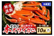 【ゆでたて冷蔵便】大好評！カニ酢付き　厳選！！釜茹で　本ズワイガニ　２Lサイズ10肩　YK00410_10