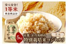 【先行予約・玄米】 1等米 検査済証付／2025年産 京都・京丹後峰山 特別栽培米コシヒカリ 5kg 【玄米】　玄米5㎏ こしひかり5㎏ 　MF00050