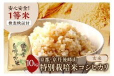 【先行予約・玄米】  1等米 検査済証付／2025年産 京都・京丹後峰山 特別栽培米コシヒカリ 10kg 【玄米】 1等米 検査済証付 玄米10㎏ こしひかり10㎏　MF00051
