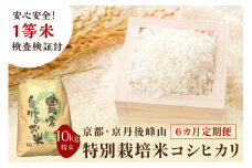 【6ヶ月定期便】2025年産 京都・京丹後峰山 特別栽培米コシヒカリ 10kg 【白米】 1等米 検査済証付　MF00054