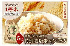【6ヶ月定期便】2025年産 京都・京丹後峰山 特別栽培米コシヒカリ 5kg 【玄米】 1等米 検査済証付　MF00056