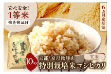 【6ヶ月定期便】2025年産 京都・京丹後峰山 特別栽培米コシヒカリ 10kg 【玄米】 1等米 検査済証付　MF00057