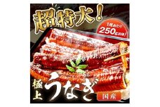 【定期便 毎月×3回】超特大！極上！国産うなぎ蒲焼 1尾 250g前後　YK00476