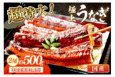 【定期便 隔月×3回】超特大！極上！国産うなぎ蒲焼 2尾 合計500g前後　YK00479