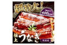 【定期便 隔月×3回】超特大！ふっくら肉厚！うなぎ蒲焼 1尾 400g前後　YK00481