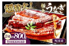 【定期便 隔月×3回】超特大！ふっくら肉厚！うなぎ蒲焼 2尾 合計800g前後　YK00483