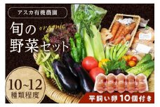 京都・京野菜セット（卵付き）【アスカ有機農園】京の旬野菜セットL平飼い卵付き（栽培期間中農薬・化学肥料不使用）＜京都 オーガニック アクション加盟＞京野菜セット・野菜 詰め合わせ・玉子付き　AY00005