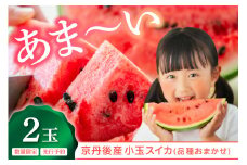 【先行予約】朝どれ小玉スイカ／みんな大好き！甘～ぃ！シャリ美味！！京丹後産 小玉スイカ！！2玉（ひとりじめ、姫甘泉、ひめまくら、砂丘たまごから1種類）（2026年7月上旬～発送）スイカ2玉　YK00533