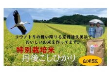 【先行予約】令和7年産　丹後こしひかり　白米5kg【特別栽培米】新米　KU00063