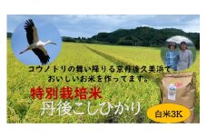 【先行予約】令和7年産　丹後こしひかり　白米3kg　【特別栽培米】新米　KU00064